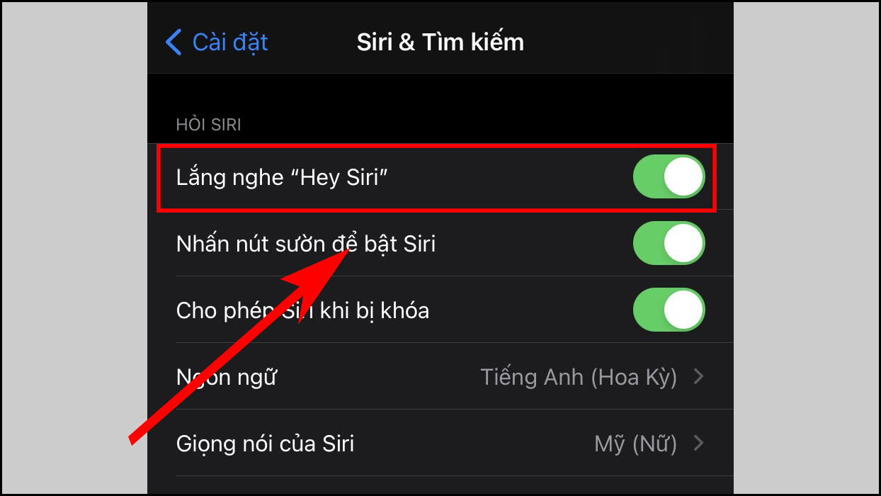 Siri là gì? Cách sử dụng Siri và những tính năng nổi bật của Siri - Thegioididong.com